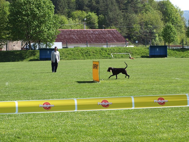 www.atibox.net * www.euroboxer.eu * www.boxergenealogia.eu